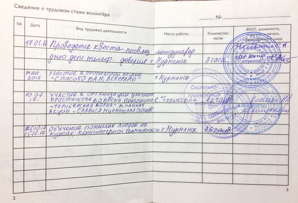 Оценка волонтерской организацией успешности реализации проекта в волонтерской книжке что писать