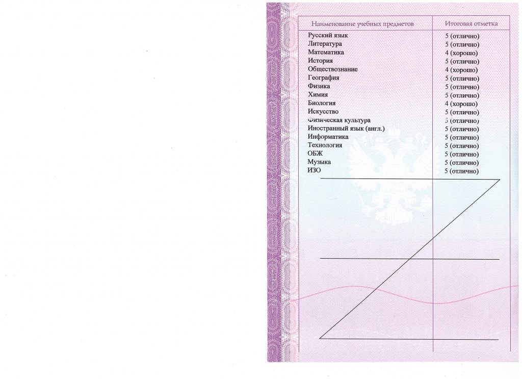 Какие предметы в аттестате