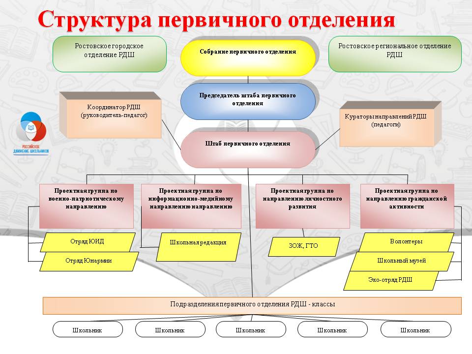 Пример первичной организации. Структура первичного отделения. Структура первичного отделения РДШ. РДШ структура организации. Структура деятельности РДШ.