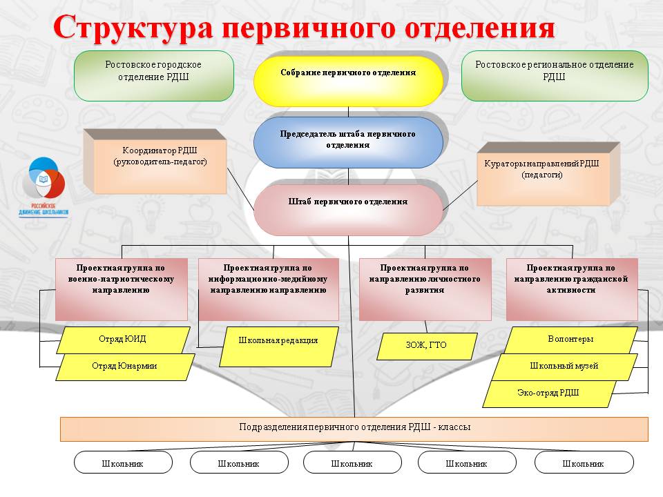 Совет первых местного отделения. Структура первичного отделения. Структура первичного отделения РДШ. РДШ структура организации. Структура деятельности РДШ.